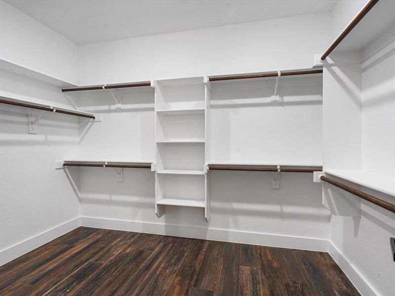 Walk in closet featuring dark hardwood / wood-style flooring