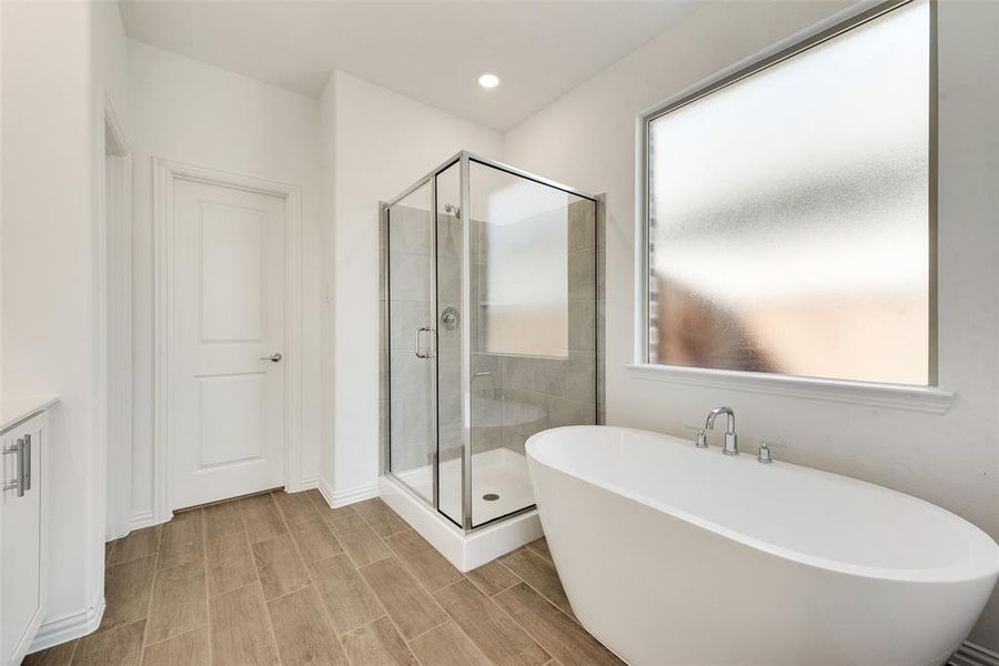 Bathroom with vanity, a healthy amount of sunlight, and separate shower and tub