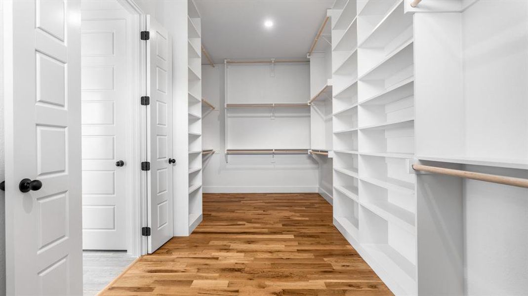 Walk in closet featuring hardwood / wood-style flooring