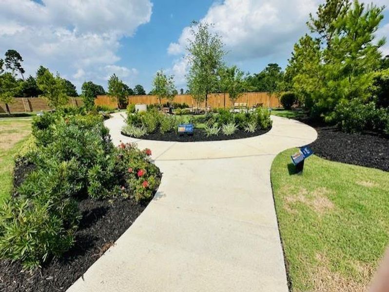 Butterfly Garden at Pine Trails