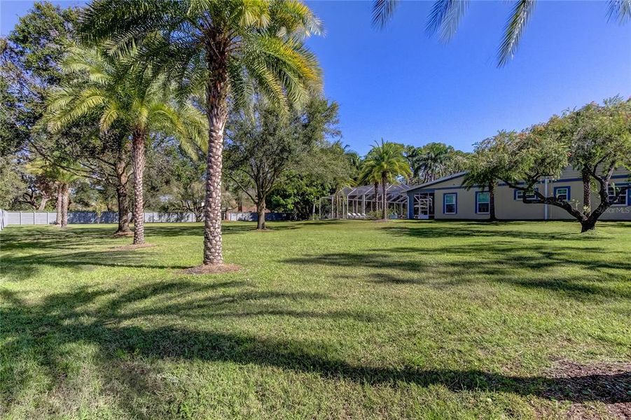 fenced in yard for your furry family members