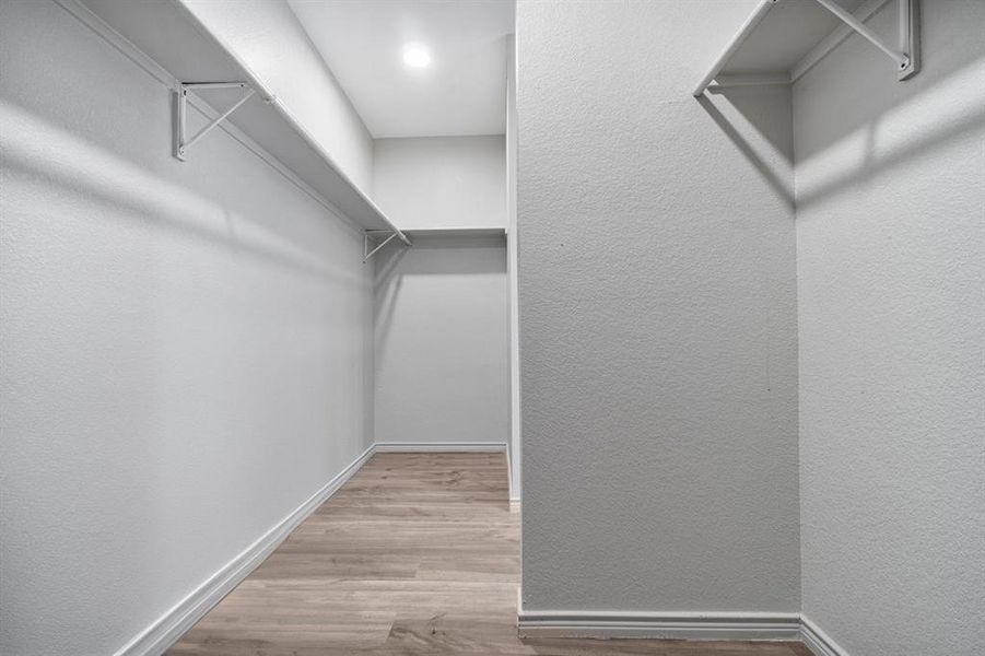 Walk in closet with wood-type flooring