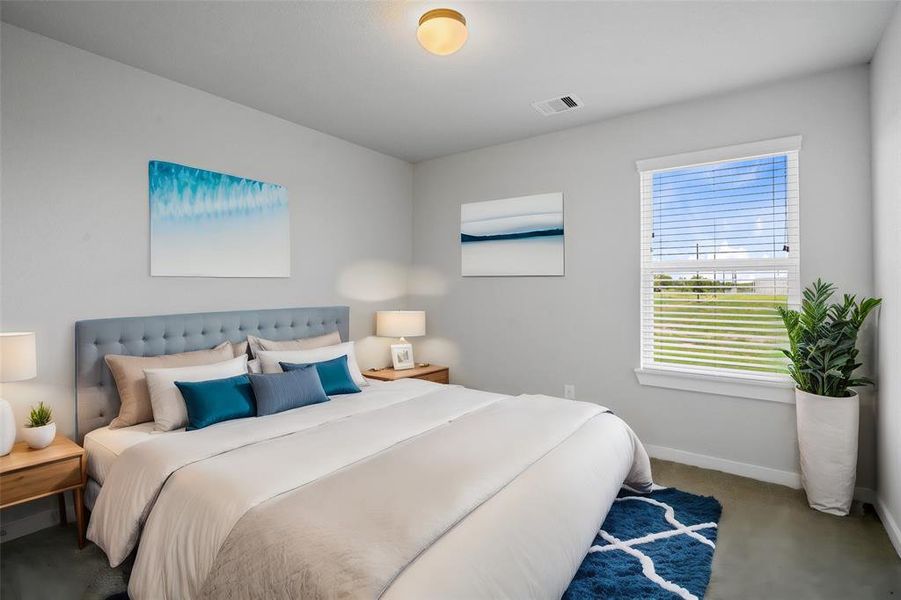 Secondary bedroom features plush carpet, custom paint, high ceilings, and large window with privacy blinds.