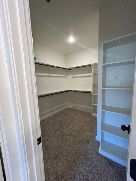 Walk in closet with dark colored carpet