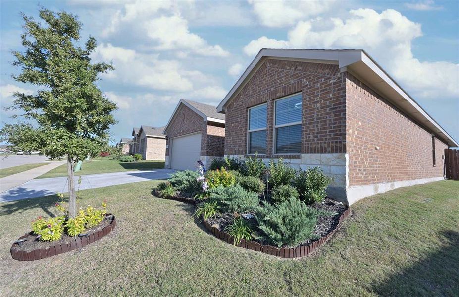 Mature landscaping with sprinkler system