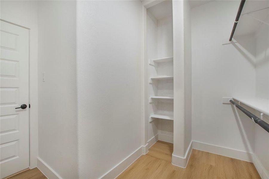 Walk in closet featuring light wood-type flooring