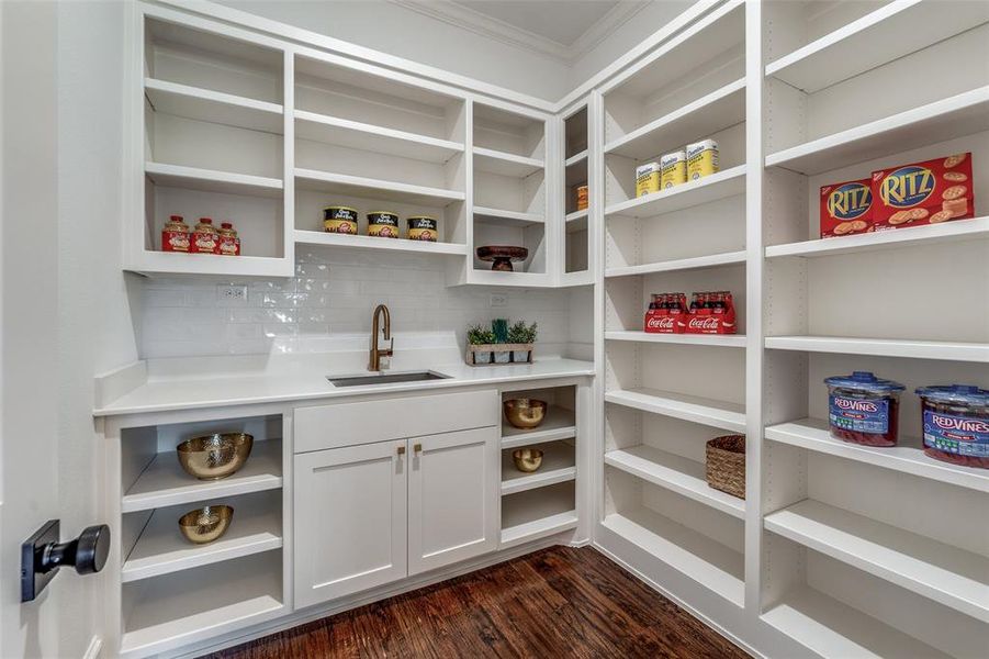 Room Sized Pantry