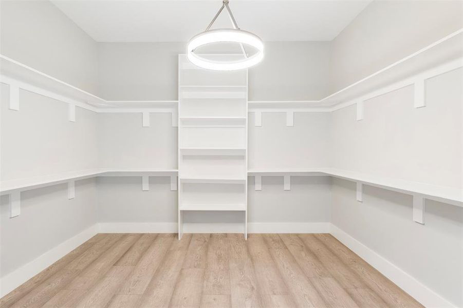 Walk in closet with light hardwood / wood-style flooring