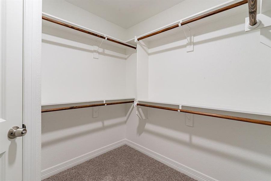 Walk in closet with wood trim carpet