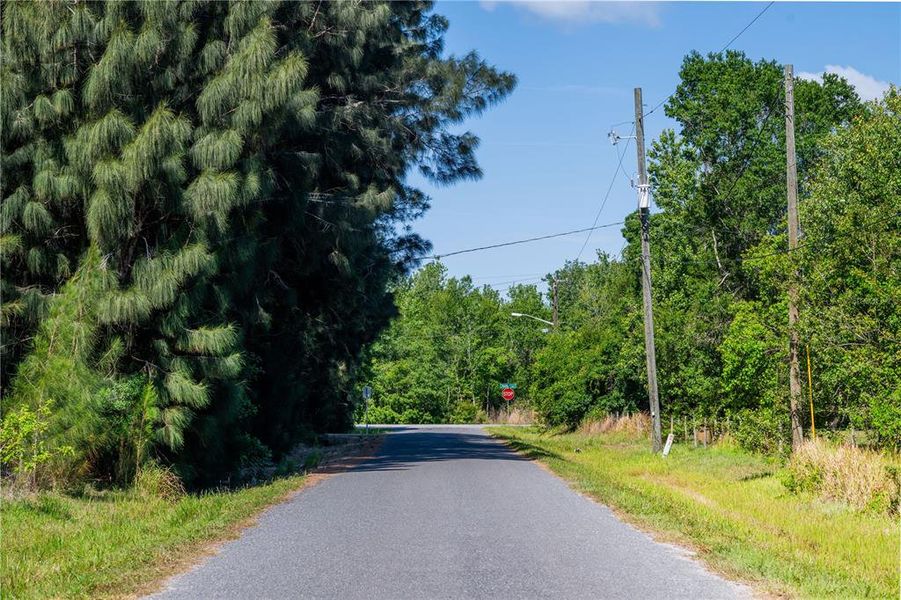 Road View