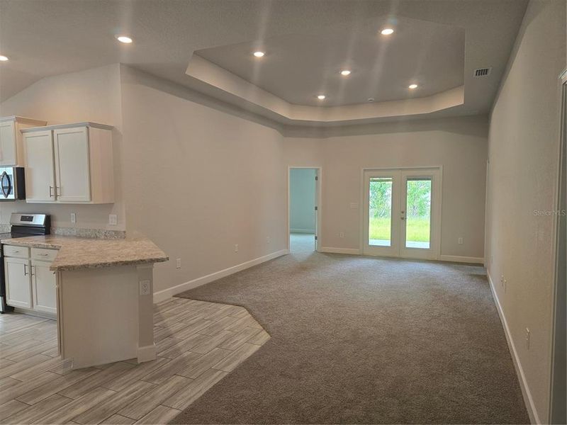 Family Room w/tray ceiling