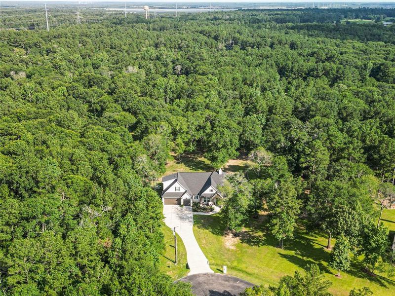 Hidden in the trees, this exceptional home offers a private oasis with easy access to local conveniences.