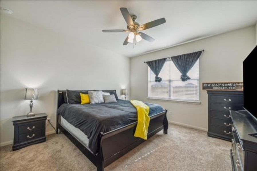 Primary Bedroom, Ceiling Fan, Natural Light from Windows