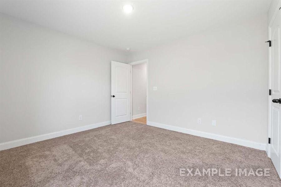 Unfurnished room featuring carpet