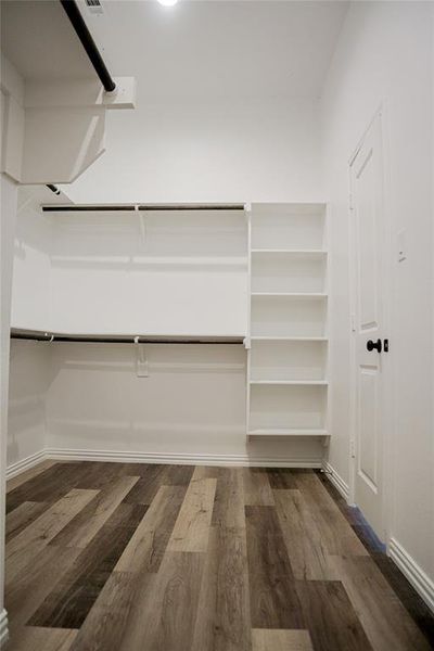 Walk in closet with dark hardwood / wood-style flooring