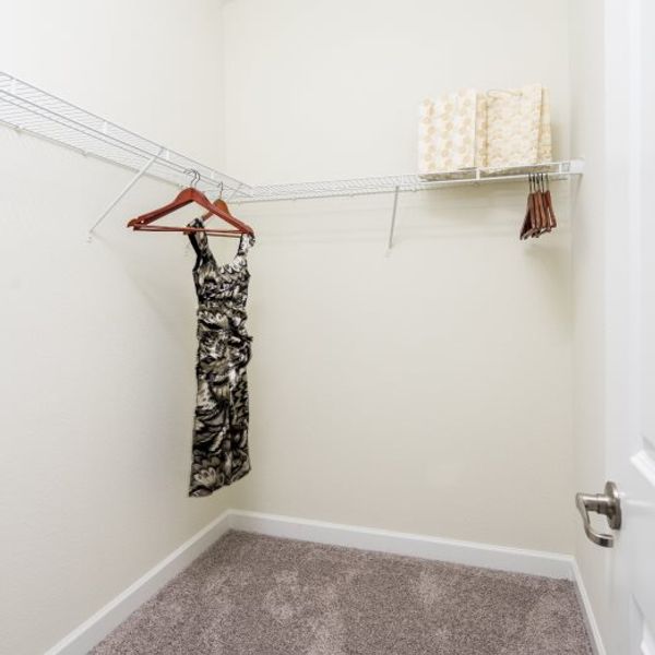 Hamilton owner's suite walk-in closet