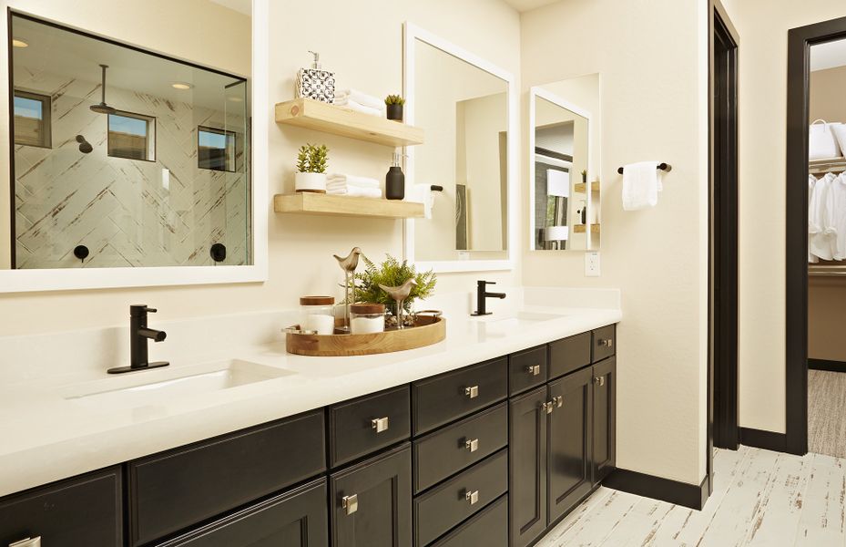 Double vanity sinks in owner's bath