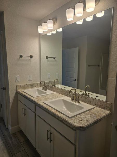 3rd Bath dual vanity