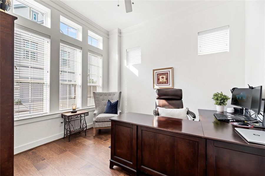 Spacious Study with fantastic Natural Light