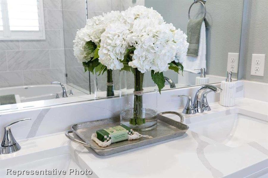 Primary Bathroom (Representative Photo)