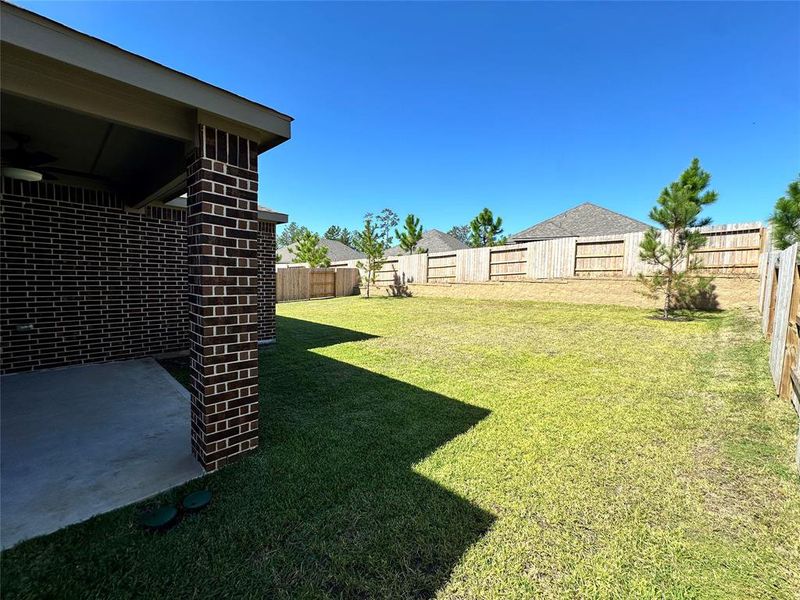 Amazing size of backyard with space to entertain