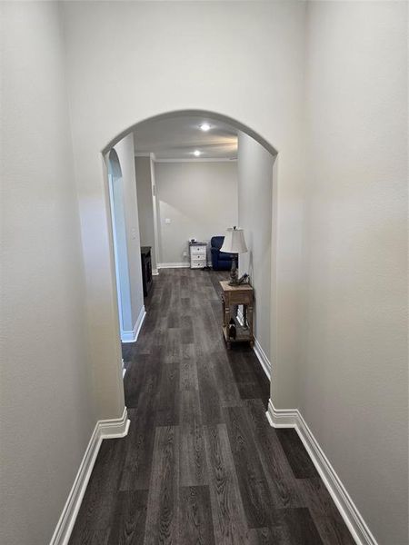 Hall featuring dark hardwood / wood-style floors