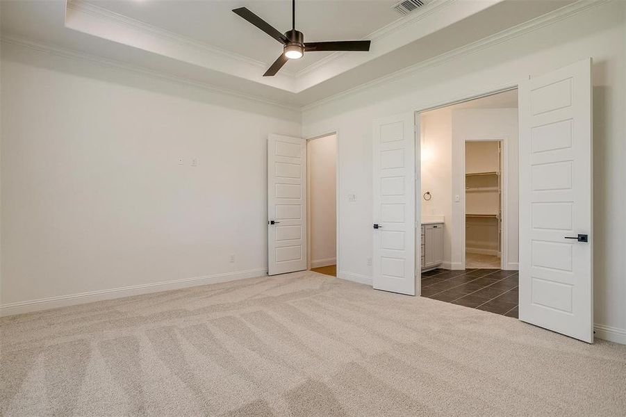 Unfurnished bedroom featuring a spacious closet, a raised ceiling, carpet floors, and ceiling fan