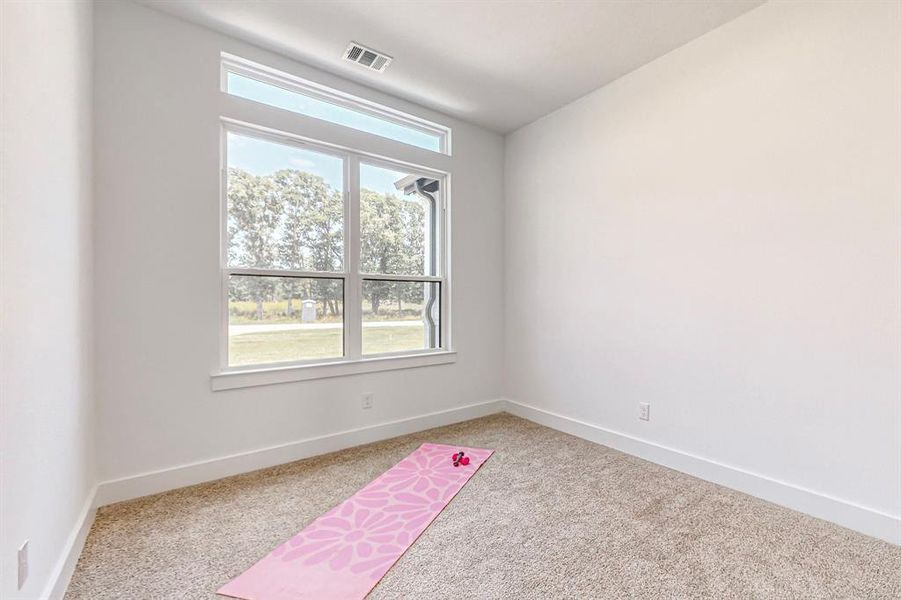 View of carpeted spare room