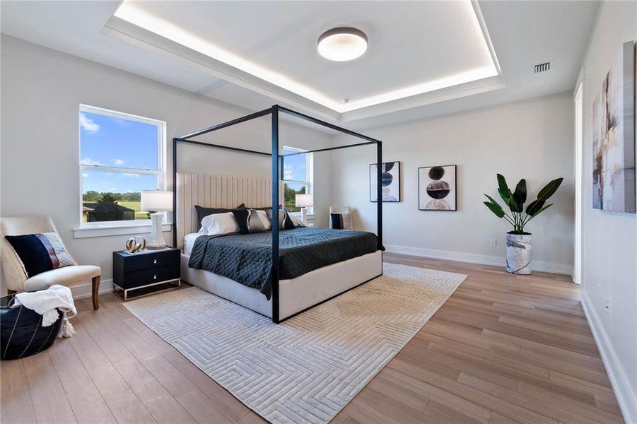 Master Bedroom from door