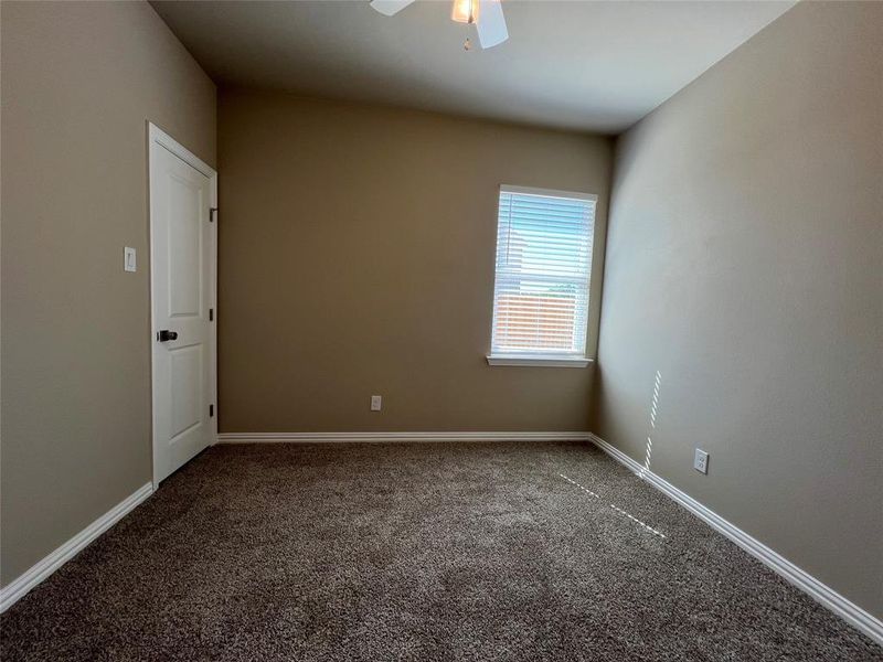 Unfurnished room featuring ceiling fan and carpet