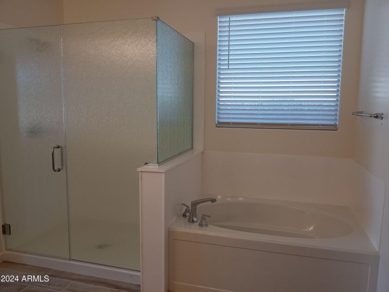 Primary Separate Tub & Shower