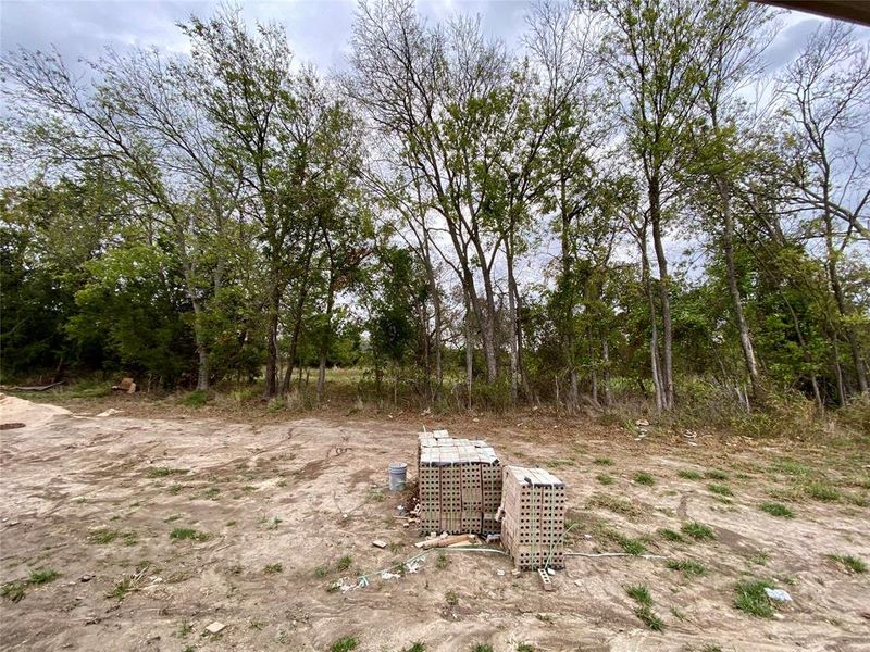 View of trees behind yard. Sod, fence & sprinklers coming soon.