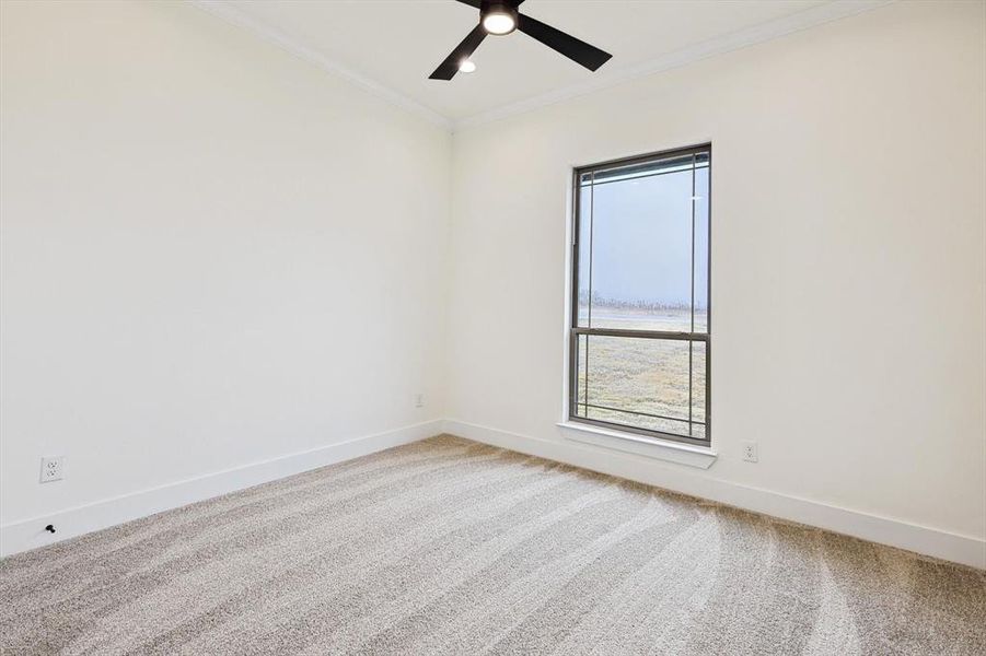 Carpeted spare room with ceiling fan and ornamental molding