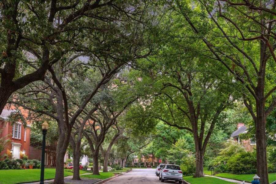 Southampton neighborhood, known for it’s charming tree lined streets with sidewalk. Close proximity to The Museum District, Rice University and Texas Medical Center.