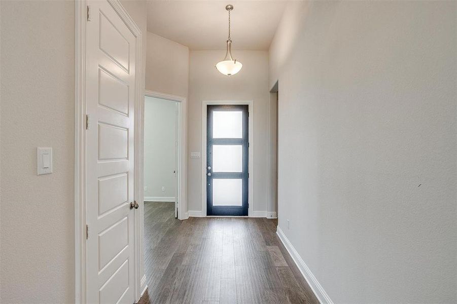 Foyer entrance featuring dark hardwood / wood-style flooring