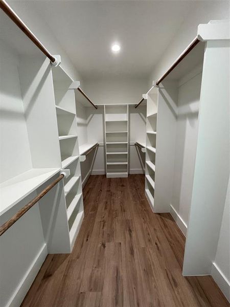 Spacious closet featuring dark hardwood / wood-style floors