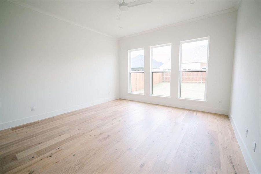 Empty room featuring ceiling fan, light wood-type flooring, and crown molding