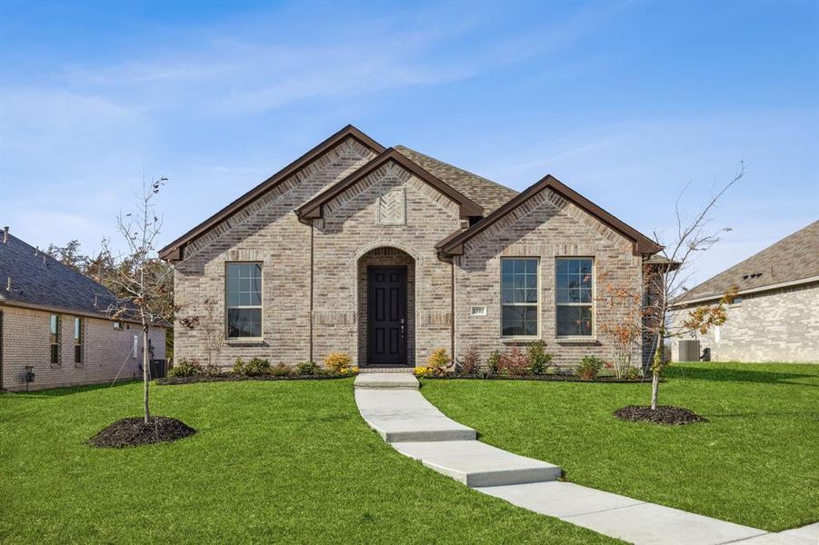 New construction Single-Family house 1501 Addison Drive, Lancaster, TX 75134 Flora - photo