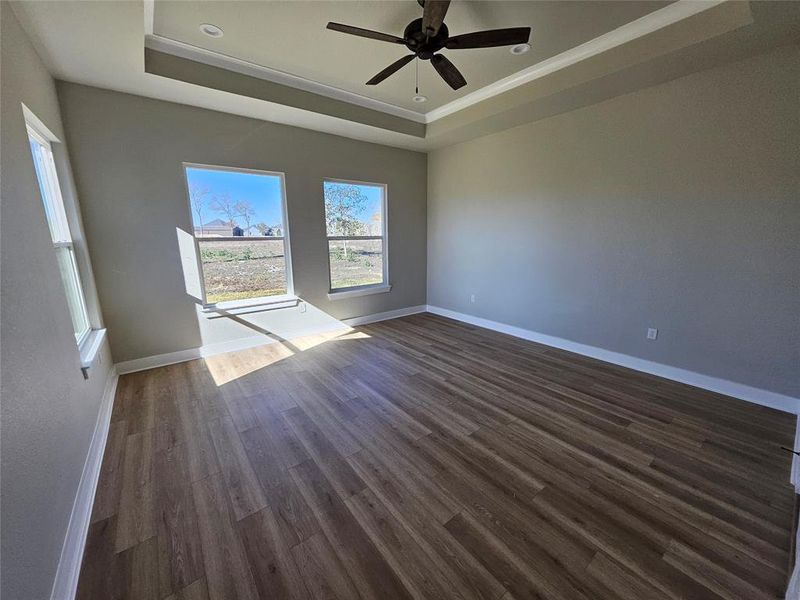 Primary bedroom with raised tray ceiling