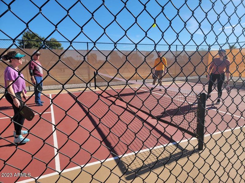 Pickleball court