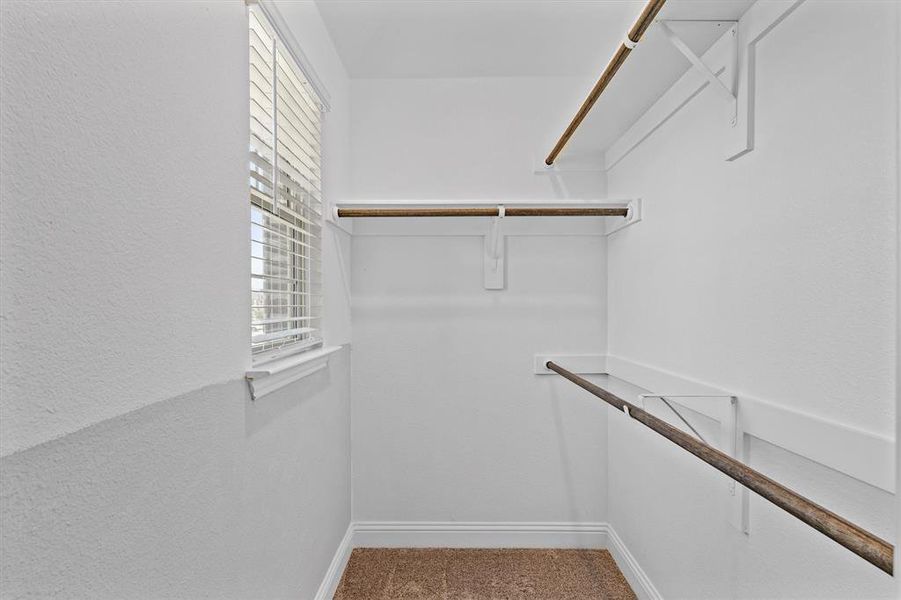 Spacious closet featuring carpet flooring