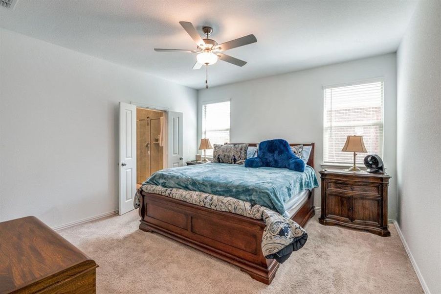 Carpeted bedroom with multiple windows and ceiling fan