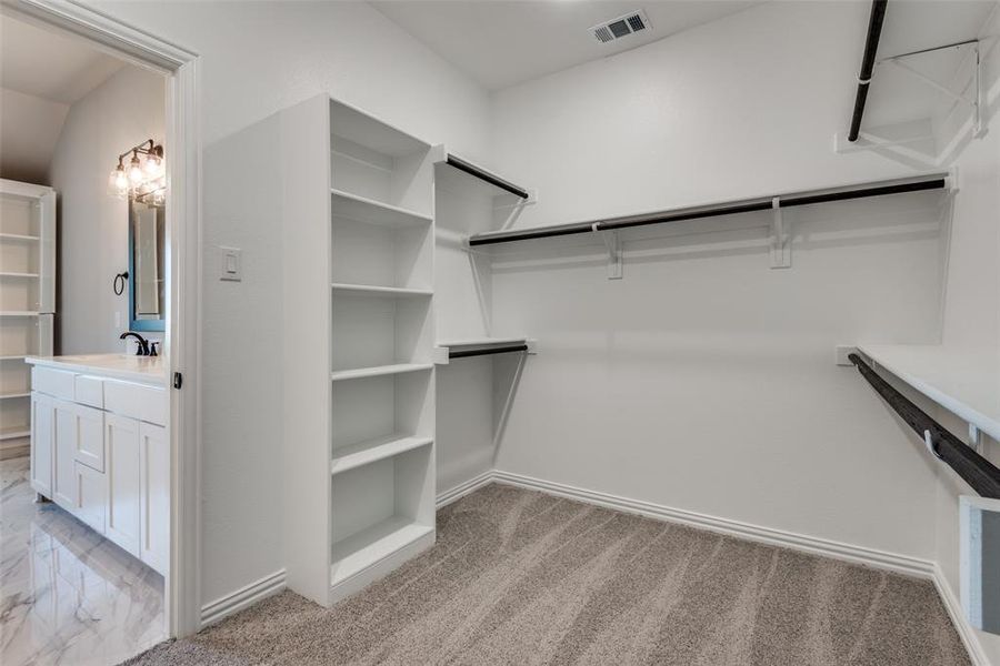 Spacious closet featuring sink and light carpet