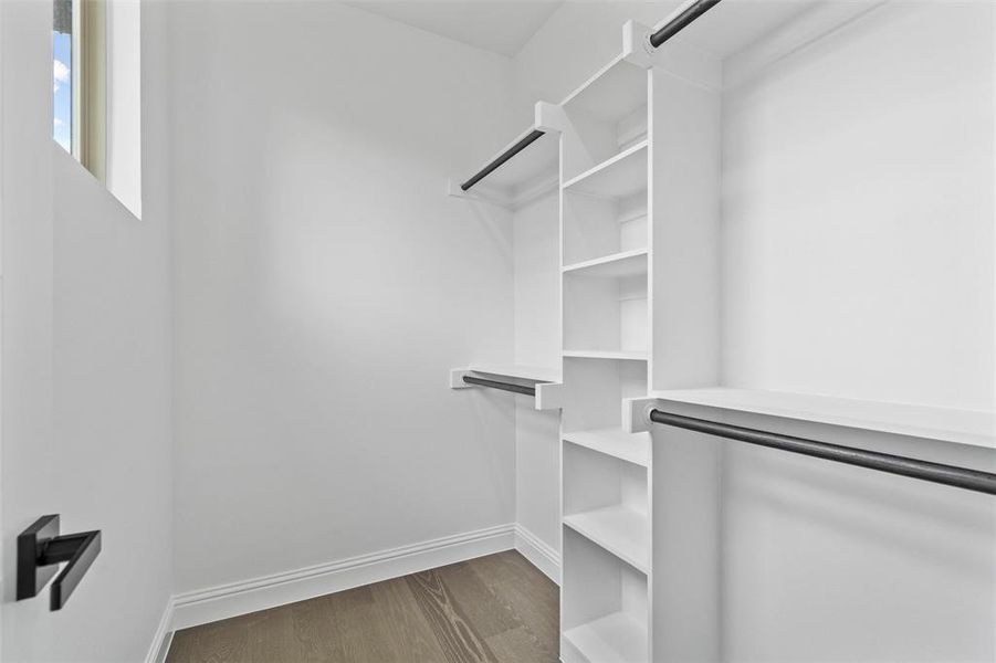 Spacious closet featuring dark hardwood / wood-style flooring