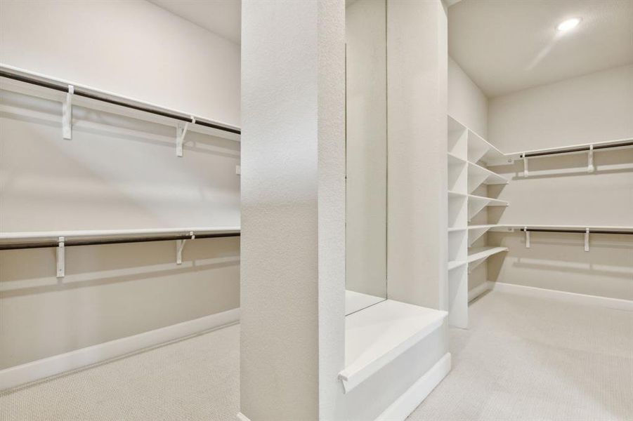 Spacious closet featuring carpet floors