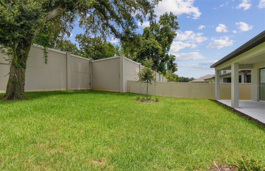 Backyard with Partial Fencing