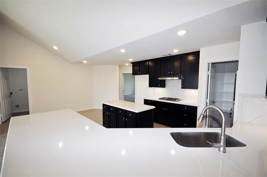 Friends, family and maybe even a couple of grandchildren can share time with the chef at this counter top height breakfast bar.