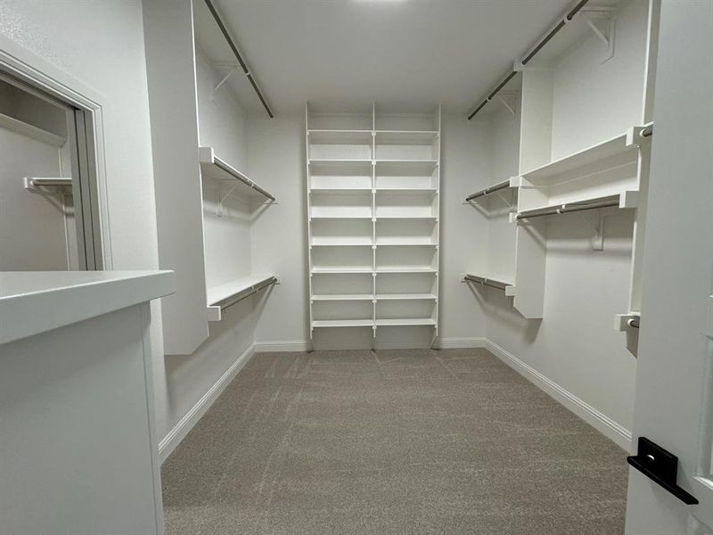 Walk in closet with carpet floors