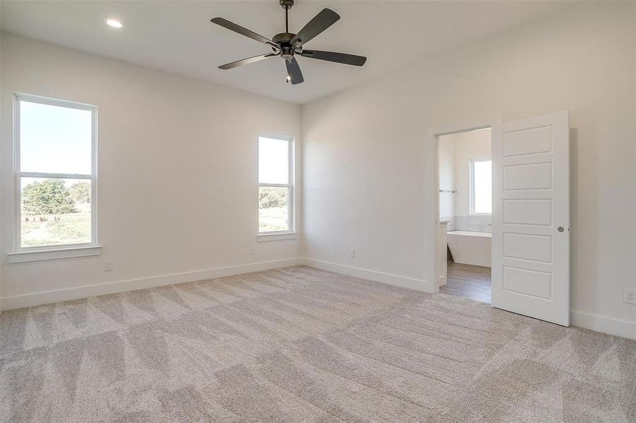 Spare room with a wealth of natural light, light carpet, and ceiling fan