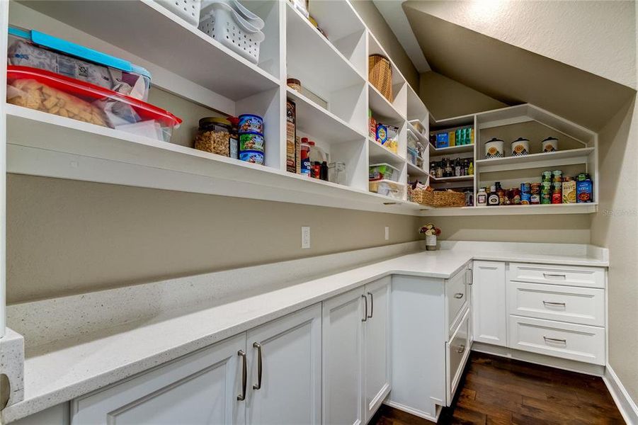 Walk-in pantry, conveniently located by kitchen and family entrance through garage